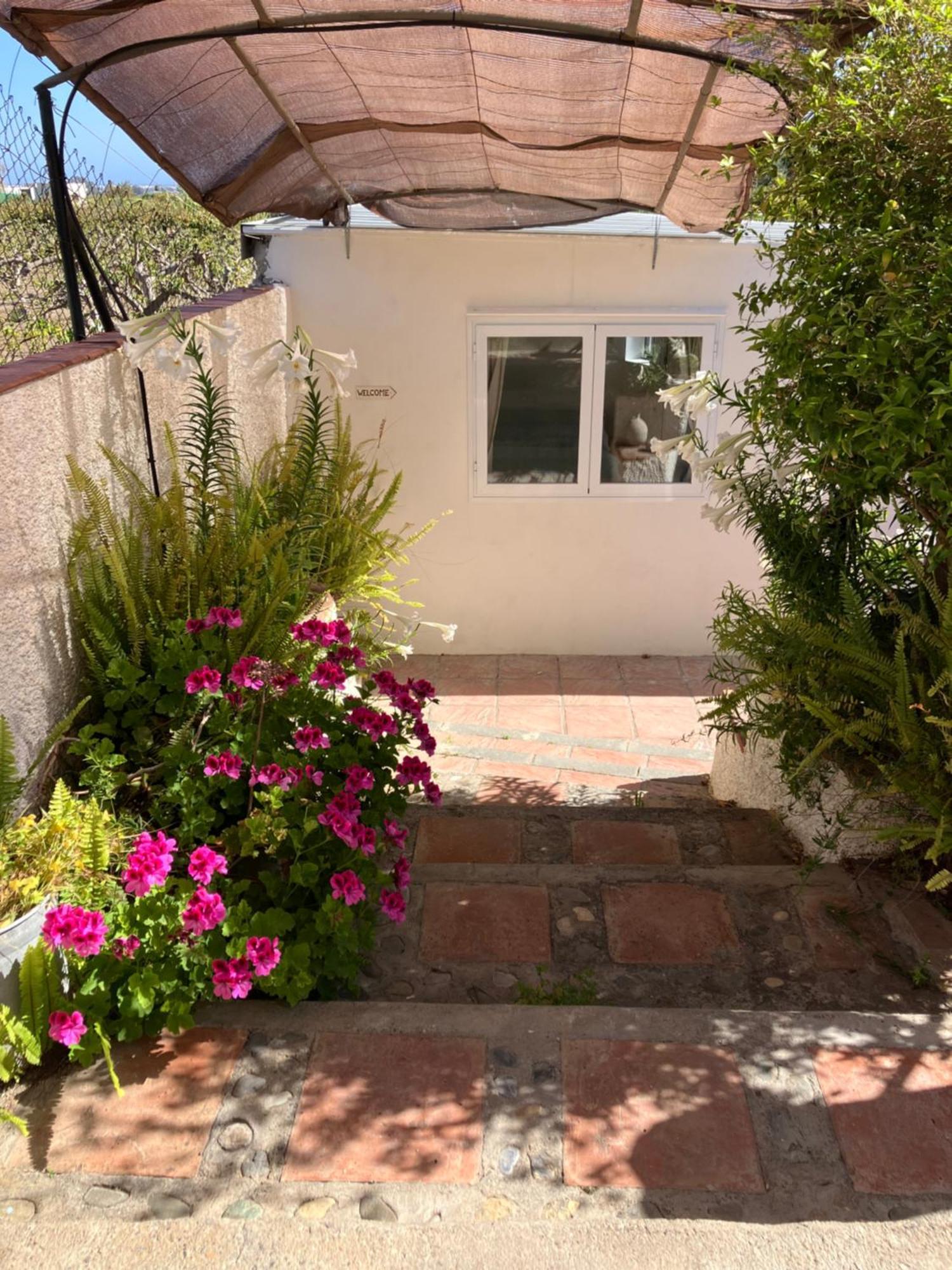 La Penita - Sunny Guesthouse With Private Pool And Garden سالوبرينيا المظهر الخارجي الصورة